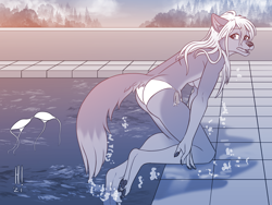 Size: 1440x1080 | Tagged: safe, artist:heresyart, oc, oc only, oc:jensca (slowfag), canine, mammal, wolf, anthro, 2021, bikini, bikini bottom, bikini top, breasts, butt, clothes, ear fluff, eyebrows, eyelashes, fangs, female, fluff, fur, hair, long hair, looking back, open mouth, partial nudity, paw pads, paws, shadow, sharp teeth, solo, solo female, swimming pool, swimsuit, tail, tail fluff, teeth, thighs, topless, underpaw, water, wet