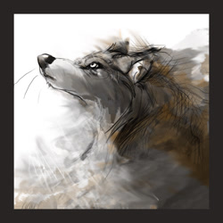 Size: 800x800 | Tagged: safe, artist:leeden, canine, mammal, wolf, ambiguous form, solo