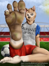 Size: 960x1280 | Tagged: suggestive, artist:robinthefox, zabivaka (fifa), canine, mammal, wolf, fifa, ball, dirty, dirty feet, foot fetish, male, russia, soccer, soccer ball, solo, solo male