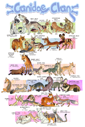 Size: 728x1088 | Tagged: safe, artist:blacklorry, african wild dog, arctic fox, bush dog, canine, coyote, dhole, dog, fennec fox, fox, jackal, mammal, maned wolf, red fox, wolf, feral, culpeo, group