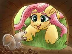 Size: 1890x1417 | Tagged: safe, artist:dandy, fluttershy (mlp), equine, fictional species, mammal, pegasus, pony, rodent, squirrel, feral, friendship is magic, hasbro, my little pony, 2d, acorn, blushing, cute, duo, ear fluff, eyebrows, eyelashes, female, fluff, fur, green eyes, hair, heart, heart eyes, long hair, looking at each other, mare, newbie artist training grounds, open mouth, open smile, pink hair, smiling, ungulate, wingding eyes, yellow body, yellow fur