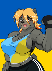 Size: 867x1192 | Tagged: safe, artist:droll3, bear, mammal, anthro, 2014, breasts, brown eyes, clothes, female, flag, flexing, fur, gray body, gray fur, hair, looking at you, muscles, nipple outline, open mouth, solo, solo female, tank top, topwear, ukraine, ukrainian flag, yellow hair