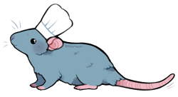 Size: 700x382 | Tagged: safe, artist:supichu, remy (ratatouille), mammal, rat, rodent, feral, cc by-nc-nd, creative commons, disney, pixar, ratatouille, chef's hat, clothes, cute, hat, male, simple background, solo, solo male, tail, transparent background
