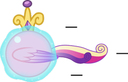 Size: 429x275 | Tagged: safe, artist:mega-poneo, princess cadence (mlp), alicorn, equine, fictional species, mammal, pony, ambiguous form, friendship is magic, hasbro, my little pony, sega, sonic the hedgehog (series), 2020, ball, crossover, crown, female, jewelry, low res, magic, mare, motion lines, regalia, rolling, simple background, solo, solo female, spin dash, tail, transparent background, wings