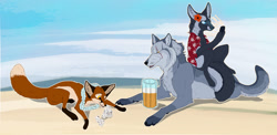 Size: 1024x500 | Tagged: safe, artist:oliverfox, oc, oc:severus blackpaw, canine, fox, mammal, wolf, feral, alcohol, beach, beer, card, drink, house of cards, male, solo, solo male, tail