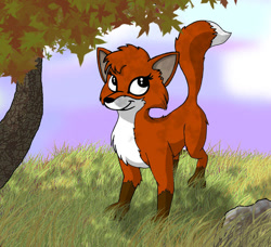 Size: 621x567 | Tagged: safe, artist:rodrev, rita (jungledyret), canine, fox, mammal, red fox, feral, jungledyret, cub, cute, dipstick tail, female, front view, fur, red body, red fur, solo, solo female, tail, three-quarter view, vixen, white belly, young