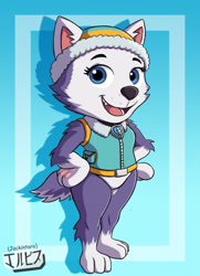 Size: 926x1280 | Tagged: safe, artist:jackintaro, everest (paw patrol), canine, dog, husky, mammal, nordic sled dog, anthro, digitigrade anthro, nickelodeon, paw patrol, 2021, beanie, black nose, chibi, clothes, collar, digital art, ears, eyelashes, featureless crotch, female, fur, hair, hand on hip, hat, looking at you, older, open mouth, open smile, paw pads, paws, simple background, smiling, smiling at you, solo, solo female, tail, thighs, tongue, topwear, underpaw, vest, wide hips