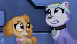 Size: 2799x1587 | Tagged: safe, artist:rainbow eevee, everest (paw patrol), skye (paw patrol), canine, cockapoo, dog, husky, mammal, nickelodeon, paw patrol, blue eyes, collar, cute, duo, duo female, eyebrows, female, females only, floppy ears, fur, jet to the rescue, looking up, multicolored fur, night, pink eyes, scared, sitting, two toned body, two toned fur, worried