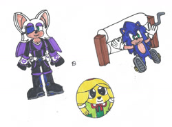 Size: 1280x940 | Tagged: safe, artist:spaton37, isabelle (animal crossing), rouge the bat (sonic), sonic the hedgehog (sonic), bat, canine, dog, equine, hedgehog, mammal, shih tzu, ambiguous form, anthro, animal crossing, nintendo, sega, sonic the hedgehog (series), 2021, ball, female, flattened, group, mare, morph ball, simple background, traditional art, trio, white background, wringer