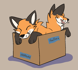 Size: 783x705 | Tagged: safe, artist:theroguez, oc, oc:foxfox (theroguez), canine, fox, mammal, red fox, feral, ambiguous gender, box, conjoined, conjoined twins, multiple heads, solo, solo ambiguous, two heads, whiskers