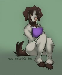 Size: 1058x1280 | Tagged: safe, artist:euthanizedcanine, canine, dog, mammal, anthro, ambiguous gender, book, solo, solo ambiguous