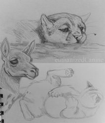 Size: 928x1090 | Tagged: safe, artist:euthanizedcanine, cervid, deer, mammal, mustelid, otter, feral, black and white, duo, ears, grayscale, monochrome, paw pads, paws