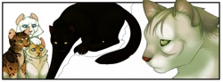 Size: 1280x471 | Tagged: safe, artist:euthanizedcanine, cat, feline, mammal, feral, warrior cats, ambiguous gender, group