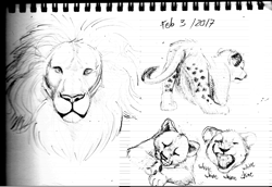Size: 803x552 | Tagged: safe, artist:euthanizedcanine, big cat, feline, lion, mammal, feral, bust, male, open mouth, portrait