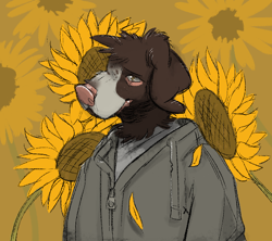 Size: 648x576 | Tagged: safe, artist:euthanizedcanine, canine, dog, mammal, anthro, ambiguous gender, bust, clothes, flower, hoodie, portrait, solo, solo ambiguous, sunflower, topwear