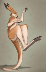 Size: 1118x1742 | Tagged: safe, artist:lizet, oc, oc:nate (lizet), kangaroo, mammal, marsupial, feral, 2019, ears, fur, gray background, green eyes, macropod, male, paw pads, paws, signature, simple background, solo, solo male, standing on tail, tail, tan body, tan fur