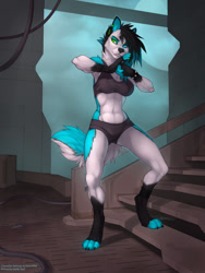 Size: 825x1100 | Tagged: safe, artist:wolfy-nail, oc, oc only, oc:shira wild, canine, mammal, wolf, anthro, digitigrade anthro, 2013, abs, athletic, belly button, blue body, blue fur, bra, bracelet, breasts, cameltoe, clothes, digital art, ear piercing, female, fingerless (marking), fur, green paw pads, hair, heterochromia, jewelry, midriff, multicolored hair, muscles, muscular female, nudity, outdoors, paw pads, paws, piercing, smiling, solo, solo female, spiked bracelet, spikes, sports bra, stairs, toeless (marking), topwear, two toned hair, underwear, white body, white fur