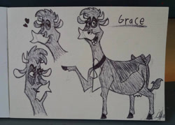 Size: 1005x718 | Tagged: safe, artist:zebg, grace (home on the range), bovid, cattle, cow, mammal, feral, disney, home on the range, female, grayscale, irl, monochrome, photo, photographed artwork, solo, solo female, traditional art, udders, ungulate