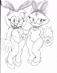 Size: 1280x1649 | Tagged: safe, artist:omegasunburst, amy rose (sonic), blaze the cat (sonic), cat, feline, hedgehog, mammal, anthro, plantigrade anthro, sega, sonic the hedgehog (series), 2021, bunny suit, clothes, cute, duo, duo female, embarrassed, female, females only, kawaii