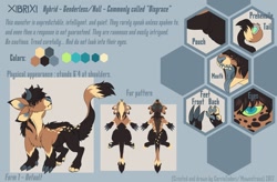 Size: 1280x842 | Tagged: safe, artist:corriezodori, dragon, fictional species, furred dragon, feral, reference sheet