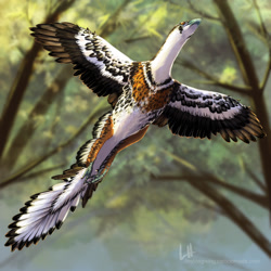 Size: 2048x2048 | Tagged: safe, artist:tinylongwing, archaeopteryx, dinosaur, feral, ambiguous gender, feathers, flying, forest, high res, wings