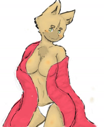 Size: 1280x1570 | Tagged: dead source, suggestive, artist:darky03, cat, feline, mammal, anthro, belly button, blushing, breasts, chest fluff, cleavage, clothes, female, fluff, green eyes, panties, partial nudity, solo, solo female, topless, underwear