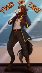 Size: 1000x1725 | Tagged: safe, artist:sunny way, oc, oc:hozzie, bird, equine, horse, mammal, parrot, anthro, unguligrade anthro, 2018, beach, belt, black hair, black hooves, black tail, blaze (coat marking), bottomwear, brown body, brown fur, clothes, coat, costume, fur, gold tooth, hair, halloween, halloween costume, holiday, hooves, jewelry, male, necklace, ocean, pants, patreon reward, pirate, pirate hat, signature, smiling, solo, solo male, stallion, tail, topwear, unshorn fetlocks, water, white body, white fur