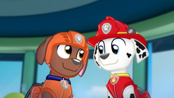 Size: 2294x1296 | Tagged: safe, artist:rainbow eevee, marshall (paw patrol), zuma (paw patrol), canine, dalmatian, dog, labrador, mammal, nickelodeon, paw patrol, clothes, cute, digital art, duo, duo male, hat, helmet, looking at each other, male, males only, smiling