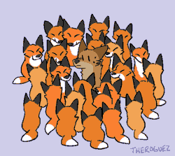 Size: 583x521 | Tagged: safe, artist:theroguez, oc, oc only, oc:rayj (theroguez), canine, coydog, coyote, dog, fox, hybrid, mammal, red fox, feral, 2d, 2d animation, ambiguous gender, animated, female, frame by frame, gif, group, squigglevision
