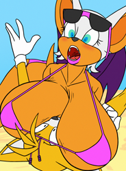 Size: 1024x1395 | Tagged: suggestive, artist:creatiffy, miles "tails" prower (sonic), rouge the bat (sonic), bat, canine, fox, mammal, red fox, anthro, sega, sonic the hedgehog (series), 2017, bat wings, beach, bedroom eyes, big breasts, bikini, black nose, breasts, clothes, digital art, duo, duo male and female, ears, eyelashes, female, fur, glasses, hair, huge breasts, looking at each other, looking at you, looking down, male, male/female, mask, micro bikini, open mouth, sharp teeth, sky, spread wings, sunglasses, swimsuit, tail, teeth, tongue, webbed wings, wide hips, wings