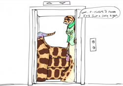 Size: 1280x894 | Tagged: safe, artist:araelkins, fictional species, reptile, snake, anthro, naga, clothes, dialogue, elevator, female, shirt, solo, solo female, talking, talking to viewer, topwear