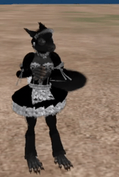 Size: 312x464 | Tagged: artist needed, source needed, safe, oc, oc only, oc:kyrzin, mammal, rodent, squirrel, anthro, 3d, 3d animation, animated, chair, clothes, dancing, digital art, female, low res, maid, maid outfit, no sound, second life, solo, solo female, webm