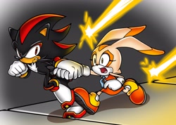 Size: 4096x2920 | Tagged: safe, artist:thenovika, cream the rabbit (sonic), shadow the hedgehog (sonic), anthro, plantigrade anthro, sega, sonic the hedgehog (series), duo, female, male, quills
