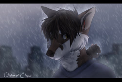 Size: 1280x853 | Tagged: safe, artist:chimmichoo, canine, fox, mammal, rat, rodent, anthro, feral, 2021, ambiguous gender, brown body, brown fur, brown hair, bust, duo, front view, fur, hair, male, portrait, rain, sad, size difference, solo focus, three-quarter view, wet, white body, white fur
