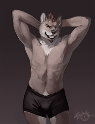 Size: 690x900 | Tagged: safe, artist:trunorth, oc, oc only, oc:kravn, canine, mammal, anthro, 2014, armpits, belly button, black underwear, brown hair, bulge, clothes, fluff, front view, fur, goatee, green eyes, grin, hair, hands behind head, male, neck fluff, one eye closed, smiling, solo, solo male, standing, tan body, tan fur, teeth, underwear, winking