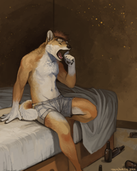 Size: 720x900 | Tagged: safe, artist:trunorth, oc, oc only, canine, dog, mammal, shiba inu, anthro, 2015, bed, belly button, bottle, brown hair, clothes, fur, glasses, hair, indoors, male, on bed, open mouth, orange body, orange fur, sitting, solo, solo male, tal, tongue, underwear, white body, white fur, yawning