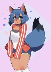 Size: 1370x1917 | Tagged: safe, artist:fredek666, michiru kagemori (bna), canine, mammal, raccoon dog, anthro, bna: brand new animal, ahoge, blue eyes, blue hair, blushing, bottomwear, breasts, brown body, brown fur, cleavage, clothes, digital art, female, footwear, fur, hair, jacket, legwear, multicolored eyes, open mouth, oversized clothes, shorts, simple background, small breasts, socks, solo, solo female, standing, stars, three-quarter view, topwear, two toned eyes