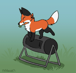 Size: 623x600 | Tagged: safe, artist:theroguez, canine, fox, mammal, red fox, feral, 2d, 2d animation, ambiguous gender, animated, black body, black fur, carrot, carrying, cute, drum, eyes closed, food, frame by frame, fur, gif, grass, holding, mouth hold, orange body, orange fur, solo, solo ambiguous, vegetables, walking, white body, white fur