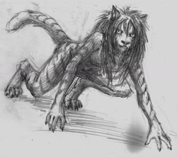 Size: 1280x1136 | Tagged: safe, artist:a_inc, big cat, feline, mammal, tiger, anthro, digitigrade anthro, 2015, all fours, breasts, claws, complete nudity, featureless breasts, female, fur, grayscale, hair, looking at you, monochrome, nudity, paws, solo, solo female, striped fur, tail, traditional art