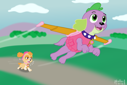 Size: 1500x1000 | Tagged: safe, artist:phallen1, skye (paw patrol), spike (mlp), canine, cockapoo, dog, mammal, feral, friendship is magic, hasbro, my little pony, nickelodeon, paw patrol, angry, collar, crossover, duo, duo male and female, female, flying, goggles, helmet, jetpack, male, on model, species swap, wings