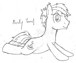 Size: 890x740 | Tagged: safe, artist:parclytaxel, oc, oc only, oc:grey seeking dusk, earth pony, equine, fictional species, mammal, pony, feral, hasbro, my little pony, line art, looking at you, lying down, male, monochrome, pencil drawing, prone, smiling, solo, solo male, stallion, traditional art, wingless