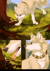 Size: 1068x1500 | Tagged: safe, artist:hioshiru, oc, oc only, canine, dog, mammal, feral, comic:entangled, 2021, collar, comic, ear fluff, fangs, fluff, grass, grass field, looking at something, male, paws, plant, sharp teeth, sigh, solo, solo male, teeth, tongue, tongue out, tree