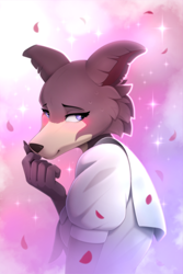 Size: 1500x2250 | Tagged: safe, artist:yakovlev-vad, juno (beastars), canine, mammal, wolf, anthro, beastars, 2021, black nose, blushing, breasts, brown body, brown fur, clothes, cream body, cream fur, ear fluff, eyebrows, eyelashes, female, fluff, fur, multicolored fur, purple eyes, smiling, solo, solo female, two toned body, two toned fur