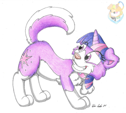 Size: 960x860 | Tagged: safe, artist:silversimba01, twilight sparkle (mlp), border collie, canine, collie, dog, mammal, feral, friendship is magic, hasbro, my little pony, dogified, eye through hair, female, hair, happy, horn, solo, solo female, species swap, tail, traditional art