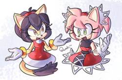 Size: 1280x845 | Tagged: safe, artist:quark19601, amy rose (sonic), honey the cat (sonic), cat, feline, hedgehog, mammal, anthro, sega, sonic the hedgehog (series), 2021, duo, duo female, female, females only, outfit swap