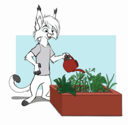 Size: 1219x1189 | Tagged: safe, artist:tuwka, feline, lynx, mammal, anthro, 2d, 2d animation, animated, blue eyes, frame by frame, gif, male, open mouth, plant, solo, solo male, watering, watering can