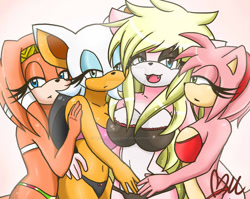 Size: 600x478 | Tagged: dead source, suggestive, artist:prettyfoxxylady, amy rose (sonic), rouge the bat (sonic), tikal the echidna (sonic), oc, bat, canine, echidna, fox, hedgehog, mammal, monotreme, anthro, sega, sonic the hedgehog (series), bra, breasts, clothes, eyelashes, female, females only, group, underwear