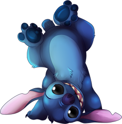 Size: 781x797 | Tagged: safe, artist:maonii, stitch (lilo & stitch), alien, experiment (lilo & stitch), fictional species, disney, lilo & stitch, 2012, ambiguous gender, black eyes, blue body, blue claws, blue fur, blue nose, blue paw pads, chest fluff, claws, digital art, ears, fluff, fur, handstand, head fluff, open mouth, open smile, short tail, simple background, smiling, solo, tail, torn ear, transparent background, upside down