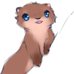 Size: 2000x2000 | Tagged: safe, artist:snoiifoxxo, mammal, mustelid, otter, feral, ambiguous gender, blep, cheek fluff, cute, fluff, high res, simple background, solo, solo ambiguous, tongue, tongue out, white background