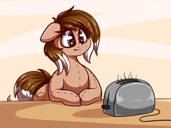 Size: 2861x2136 | Tagged: safe, artist:graphene, oc, oc only, oc:cinnamon toast, equine, fictional species, mammal, pegasus, pony, feral, friendship is magic, hasbro, my little pony, 2017, bread, breakfast, brown body, brown fur, brown hair, commission, cute, eyelashes, female, food, fur, hair, high res, mare, plush pony, smiling, solo, solo female, tail, toast, toaster